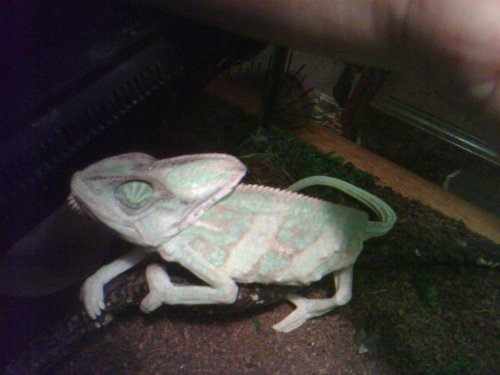 2011-08-21 21.42.20.jpg