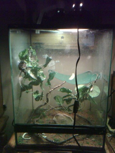 2011-08-21 21.41.52.jpg