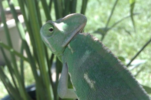 IMAG0232.jpg