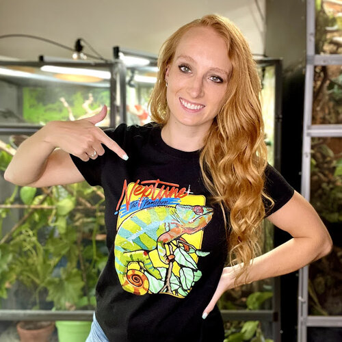 NTC merch.jpg NTC merch.jpg
