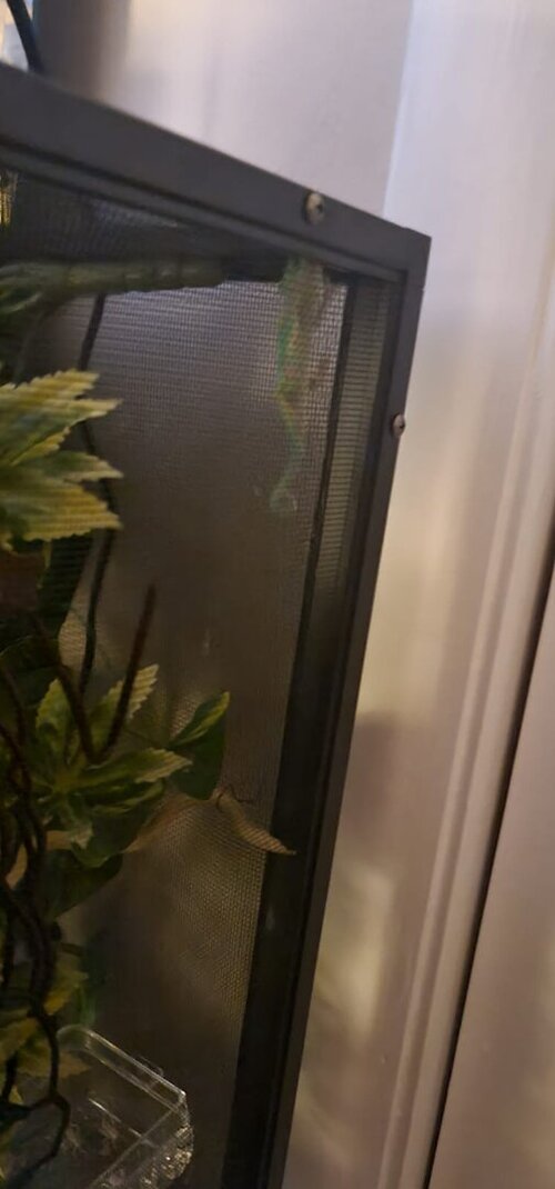 WhatsApp Image 2021-10-31 at 8.54.26 PM (1).jpeg