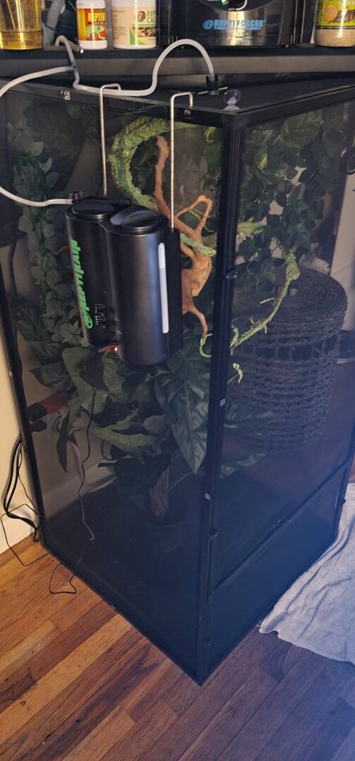 WhatsApp Image 2021-10-31 at 8.54.27 PM (1).jpeg