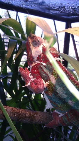 IMAG0351.jpg