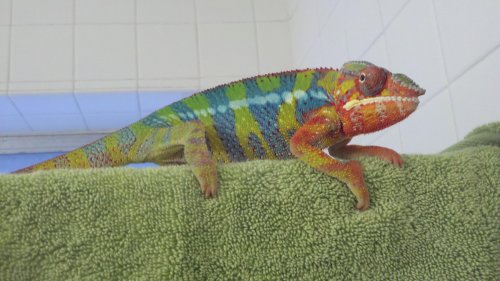 2011-08-26_15-51-18_249.jpg
