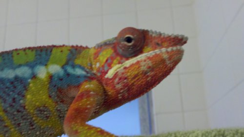 2011-08-26_15-49-09_779.jpg