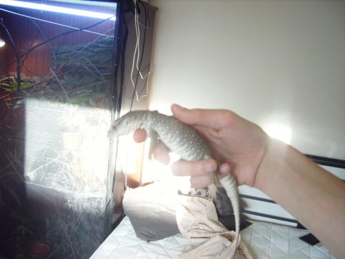 more bath vids 004.jpg