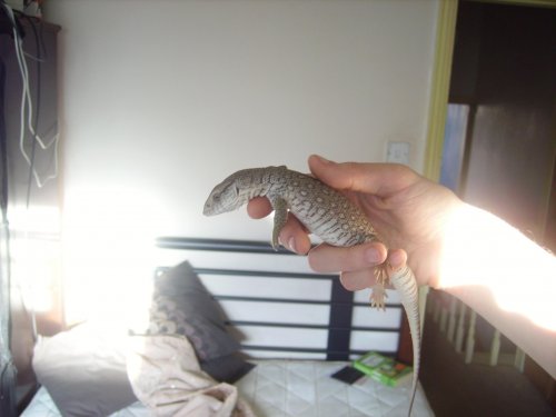 more bath vids 005.jpg