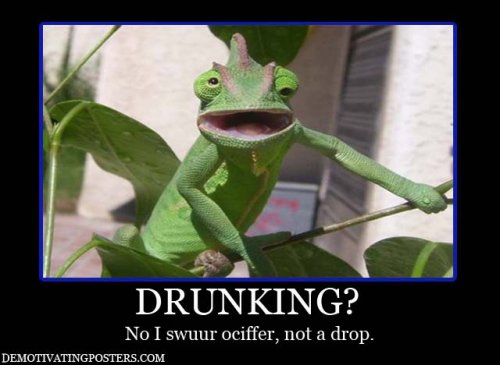drunk chameleon.jpg
