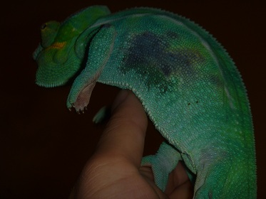 P1010543 resized.jpg