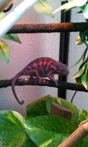 IMAG0308.jpg
