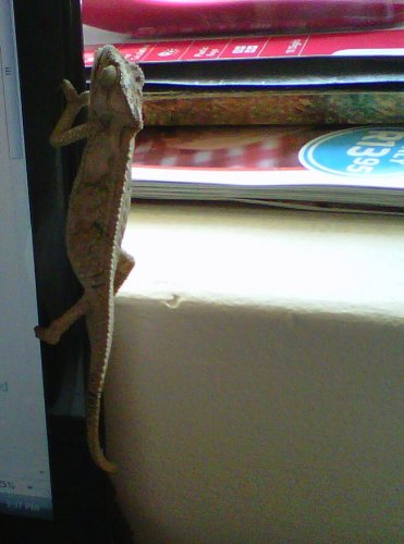 Beacon Bay-20110831-00101.jpg