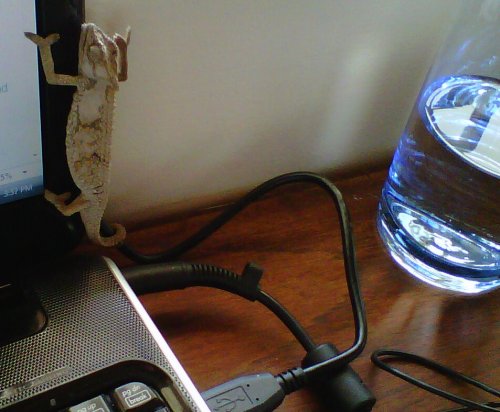 Beacon Bay-20110831-00102.jpg