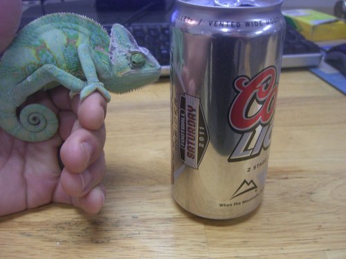 LAMBEAU AND CAN2.jpg