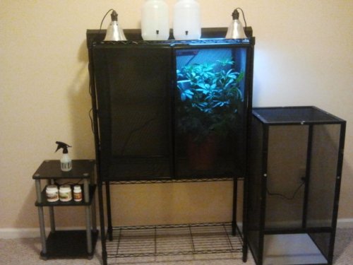 2011-09-02 17.29.22.jpg