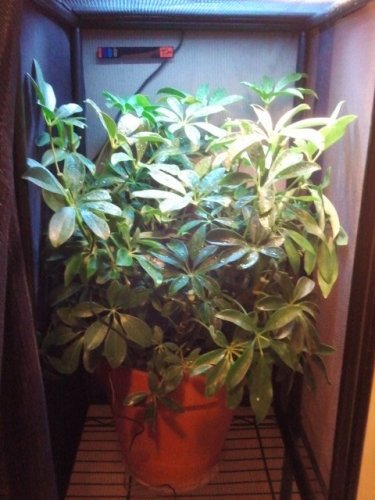 2011-09-02 17.16.50.jpg