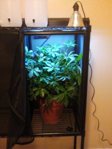 2011-09-02 17.18.39.jpg