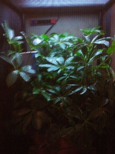 2011-09-02 17.31.15.jpg
