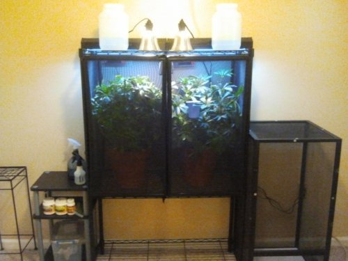 2011-09-04 11.10.01.jpg