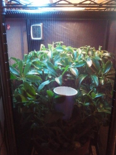 2011-09-04 11-1.09.21.jpg