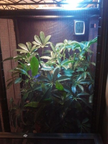 2011-09-04 11.10.40.jpg