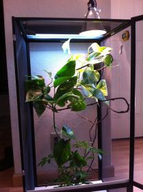 Cage Setup.jpg