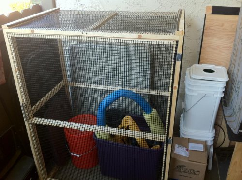 Cham cage.jpg