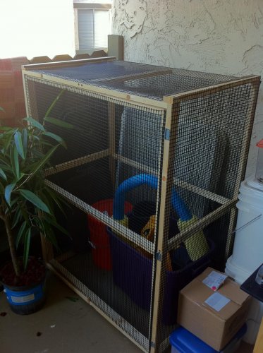 Cham cage 1.jpg