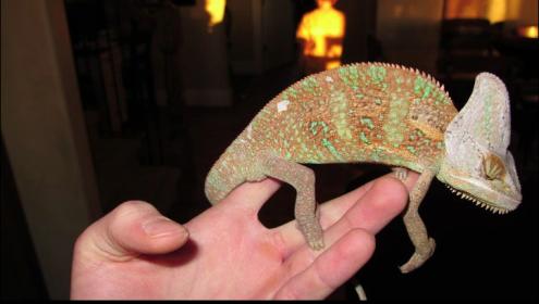 Screen shot 2011-08-27 at 1.07.54 PM.jpg