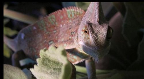 Screen shot 2011-08-27 at 1.08.10 PM.jpg