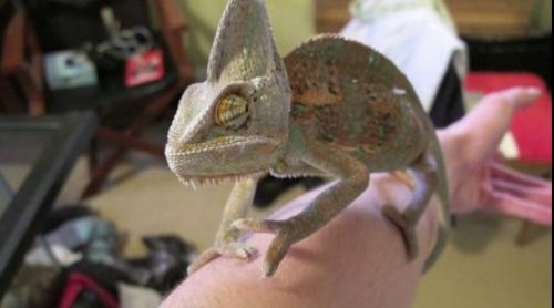 Screen shot 2011-08-27 at 1.07.11 PM.jpg