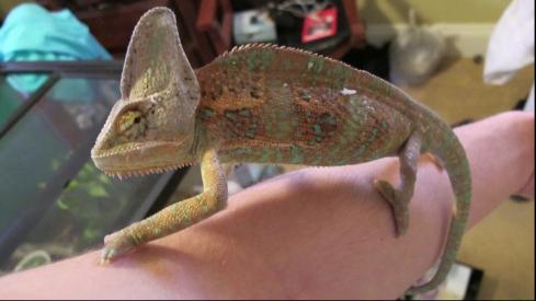 Screen shot 2011-08-27 at 1.08.20 PM.jpg