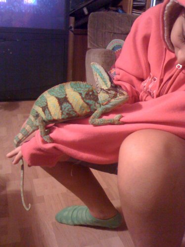 01rango (9).jpg