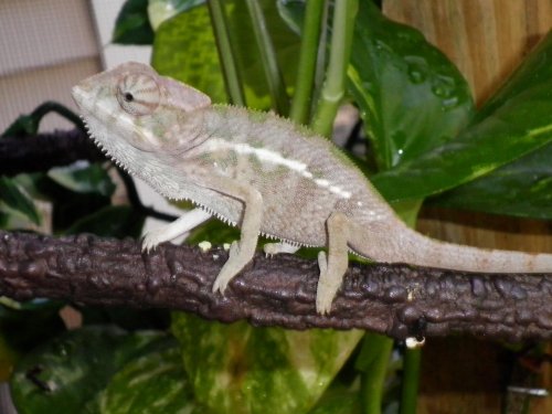 sunning babys 013.jpg