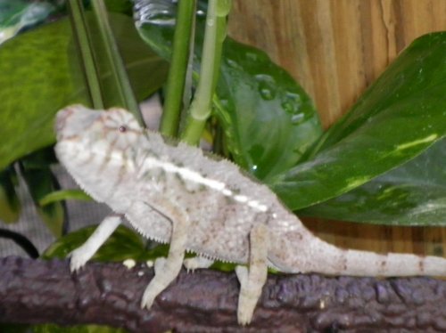 sunning babys 015.jpg