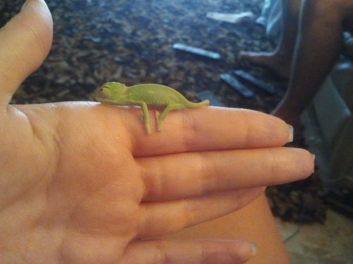 2011-07-24 15.12.43.jpg