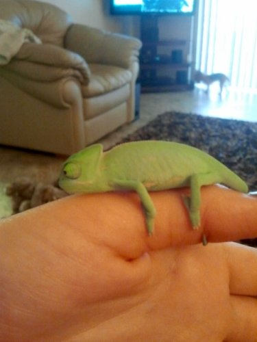 2011-08-28 11.59.59.jpg
