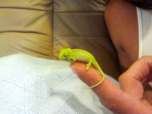 2011-07-31 17.44.14.jpg