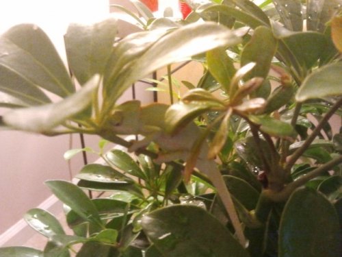 2011-08-30 19.08.07.jpg
