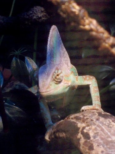 100_2587.jpg