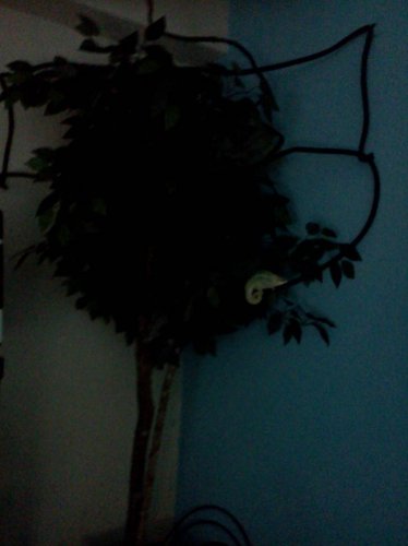 IMG_20110916_001457.jpg