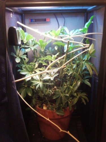 2011-09-16 18.06.18.jpg