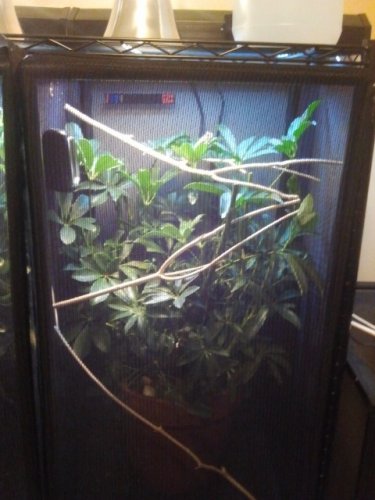 2011-09-16 18.08.03.jpg