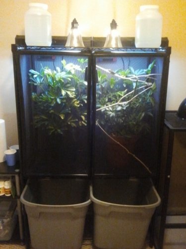 2011-09-16 18.15.40.jpg