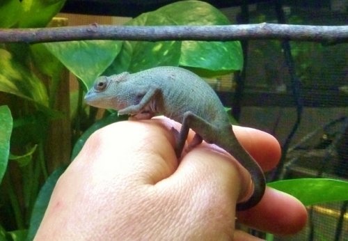 P1030049 (640x444).jpg