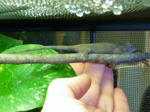 P1030061 (640x479).jpg