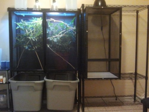 2011-09-17 18.23.25.jpg