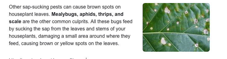 Screen Shot 2021-11-12 at 11.02.04 AM.png