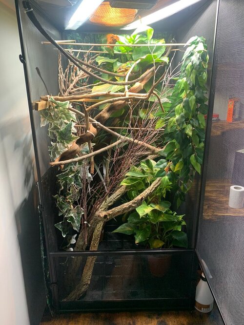 WhatsApp Image 2021-11-15 at 3.03.17 PM.jpeg