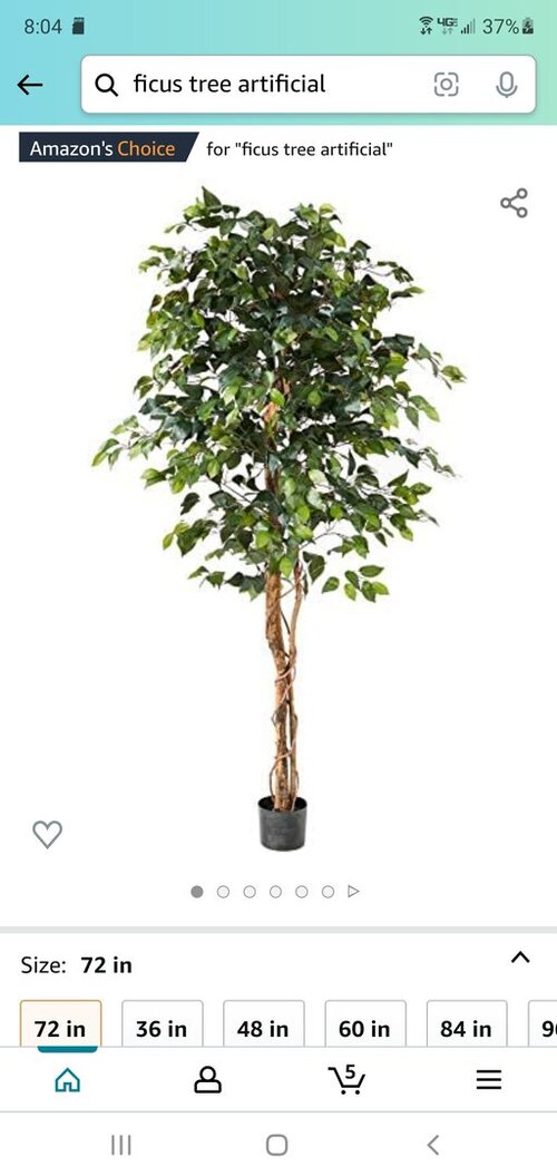 Screenshot_20220118-200423_Amazon Shopping.jpg