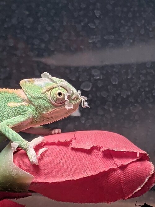 PXL_20210114_164835197 (1).jpg